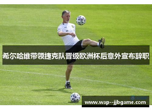 希尔哈维带领捷克队晋级欧洲杯后意外宣布辞职 希尔哈维带领捷克队晋级欧洲杯后意外宣布辞职